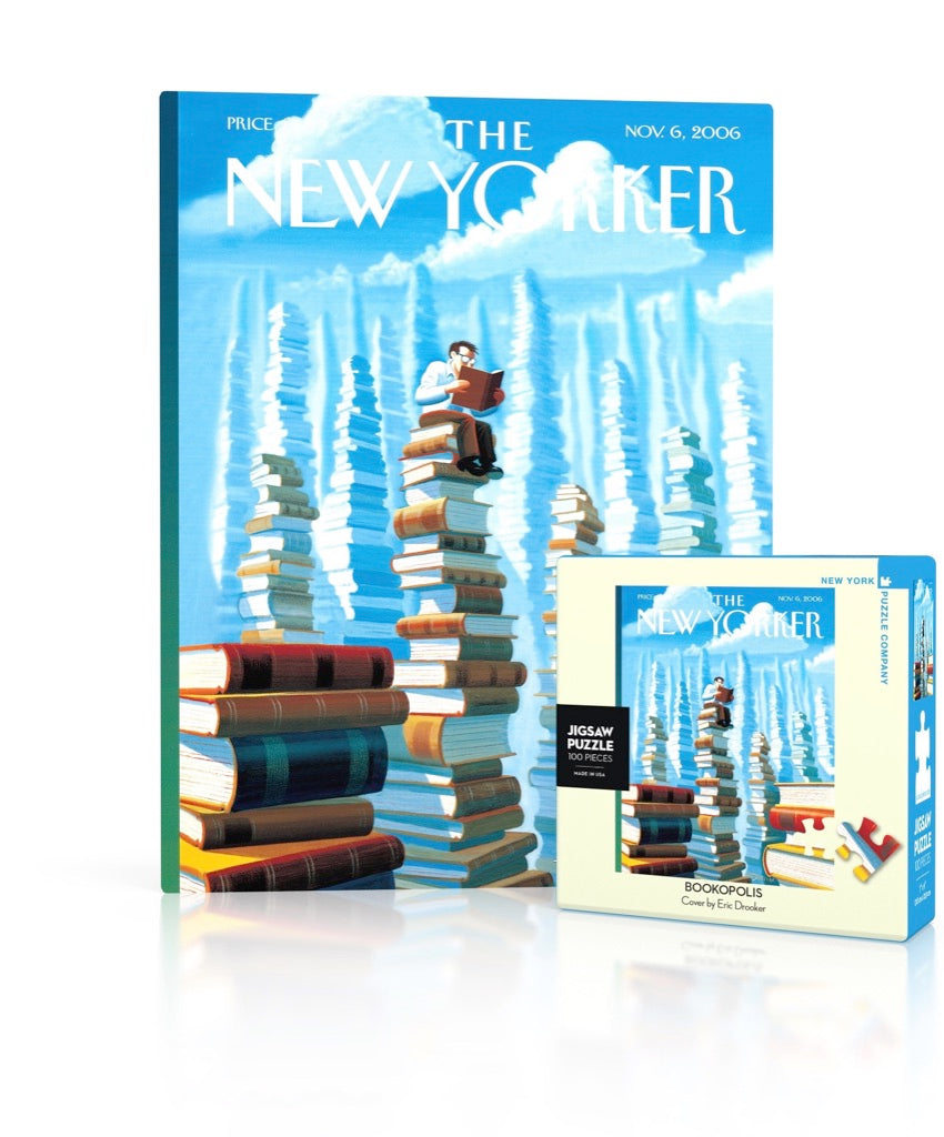 Bookopolis Mini puzzle box and illustrated design