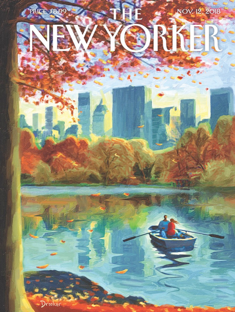 Illustrated Central Park Row puzzle design