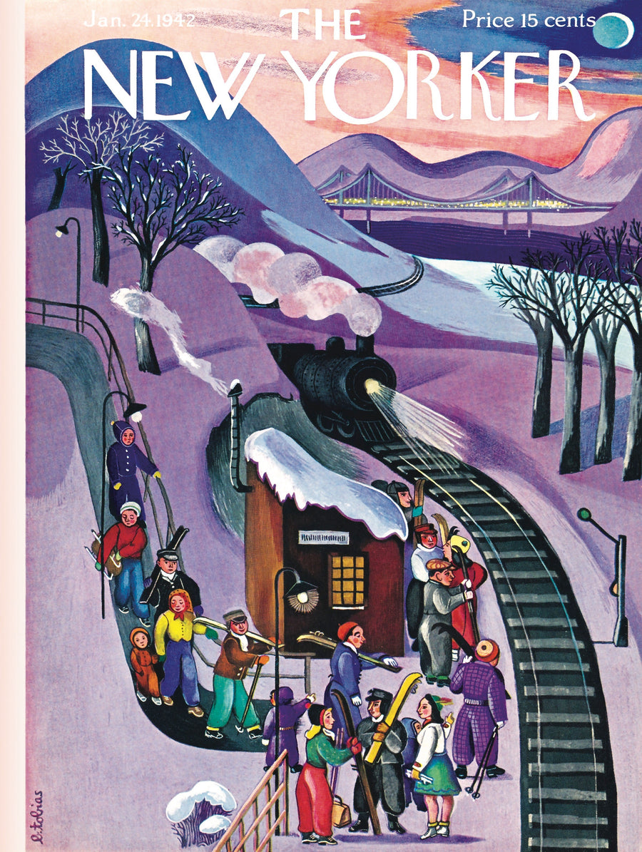 Illustrated Skiing Express puzzle design