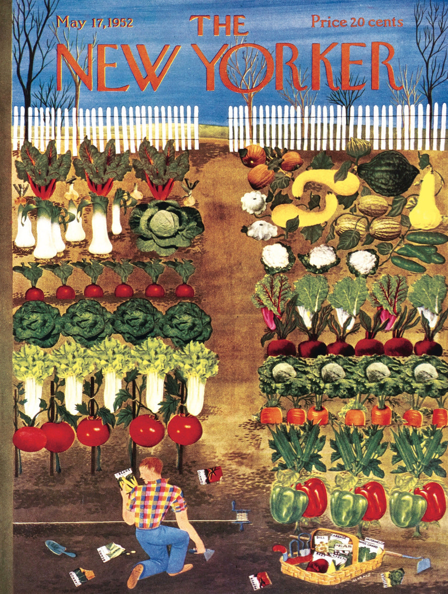 Illustrated Vegetable Garden puzzle design