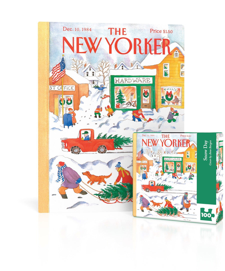 Snow Day Mini puzzle box and illustrated design