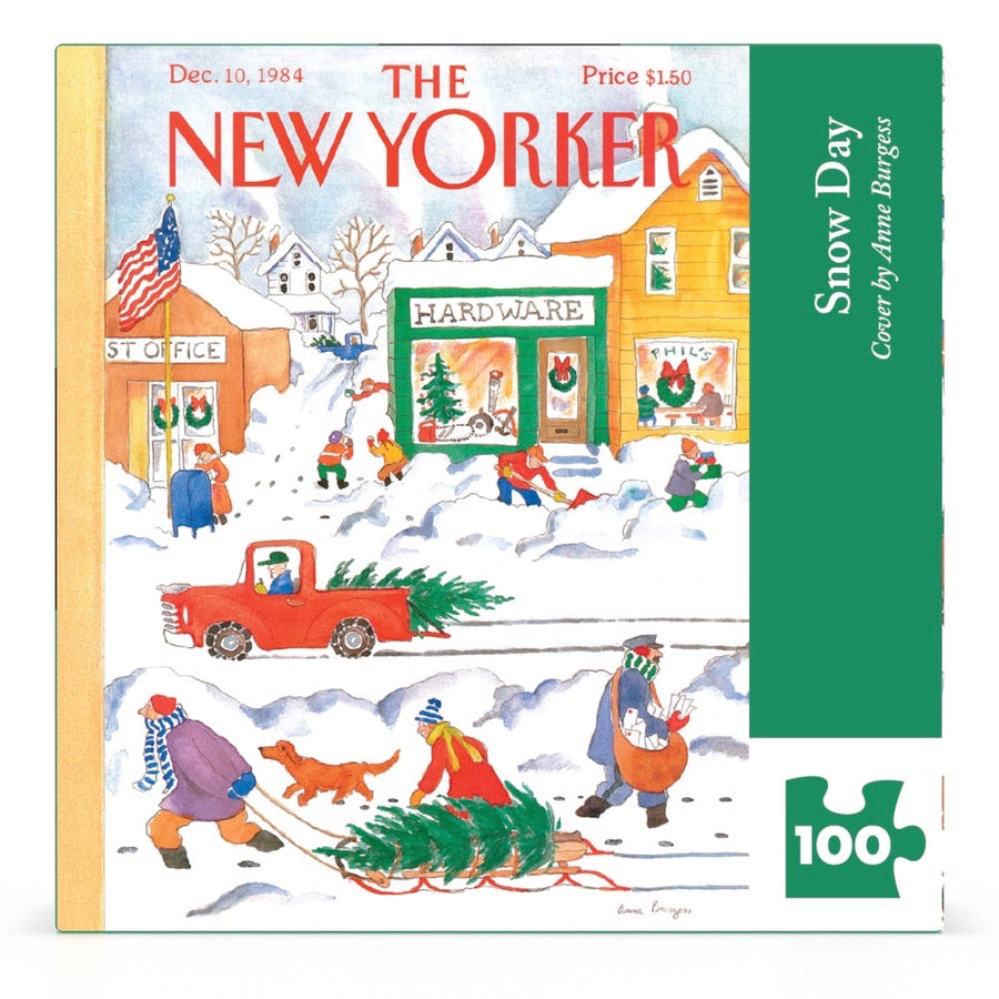 Packaging showing Snow Day Mini puzzle artwork