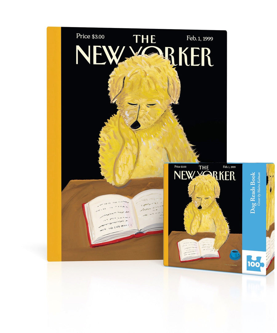 Dog Reads Book Mini puzzle box and illustrated design