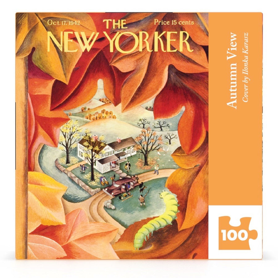Packaging showing Autumn View Mini puzzle artwork