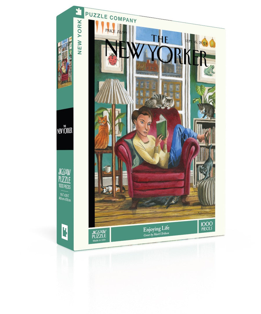 Enjoying Life puzzle box and illustrated design