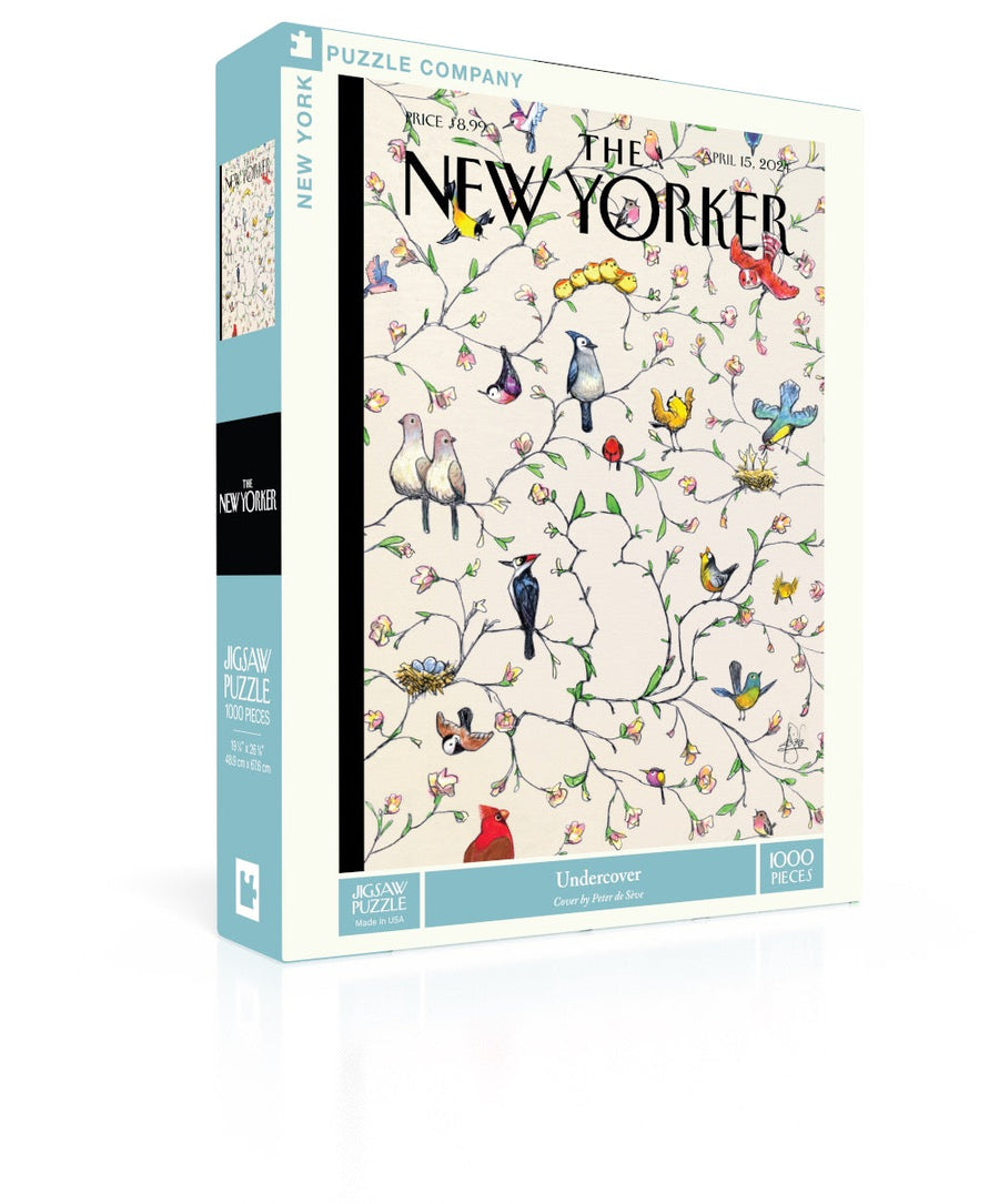 Undercover puzzle box and illustrated design