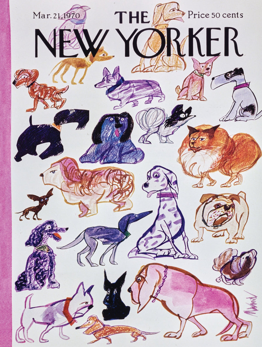 Illustrated Doggies puzzle design