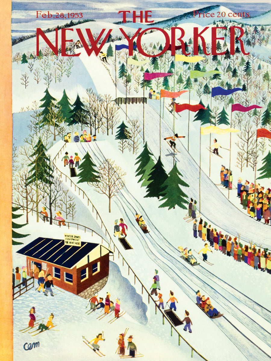 Illustrated Sledding and Skiing puzzle design