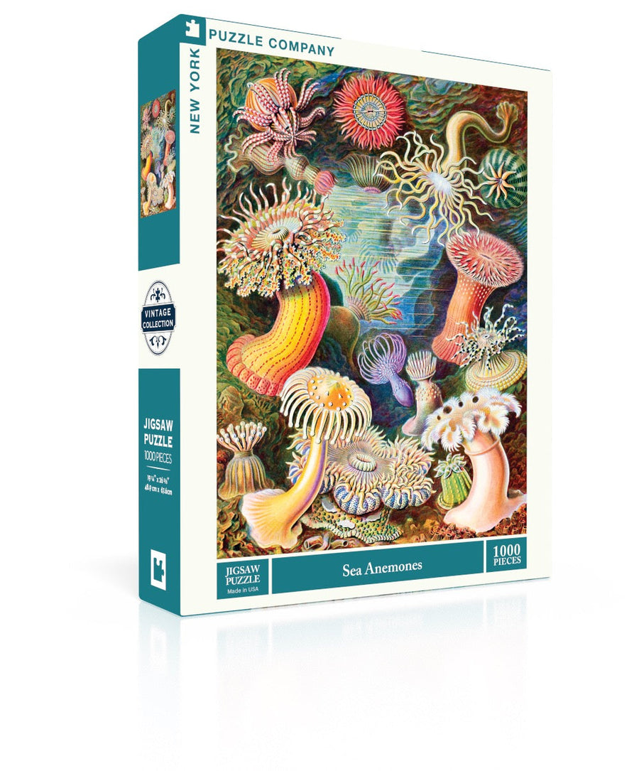 Sea Anemones puzzle box and illustrated design