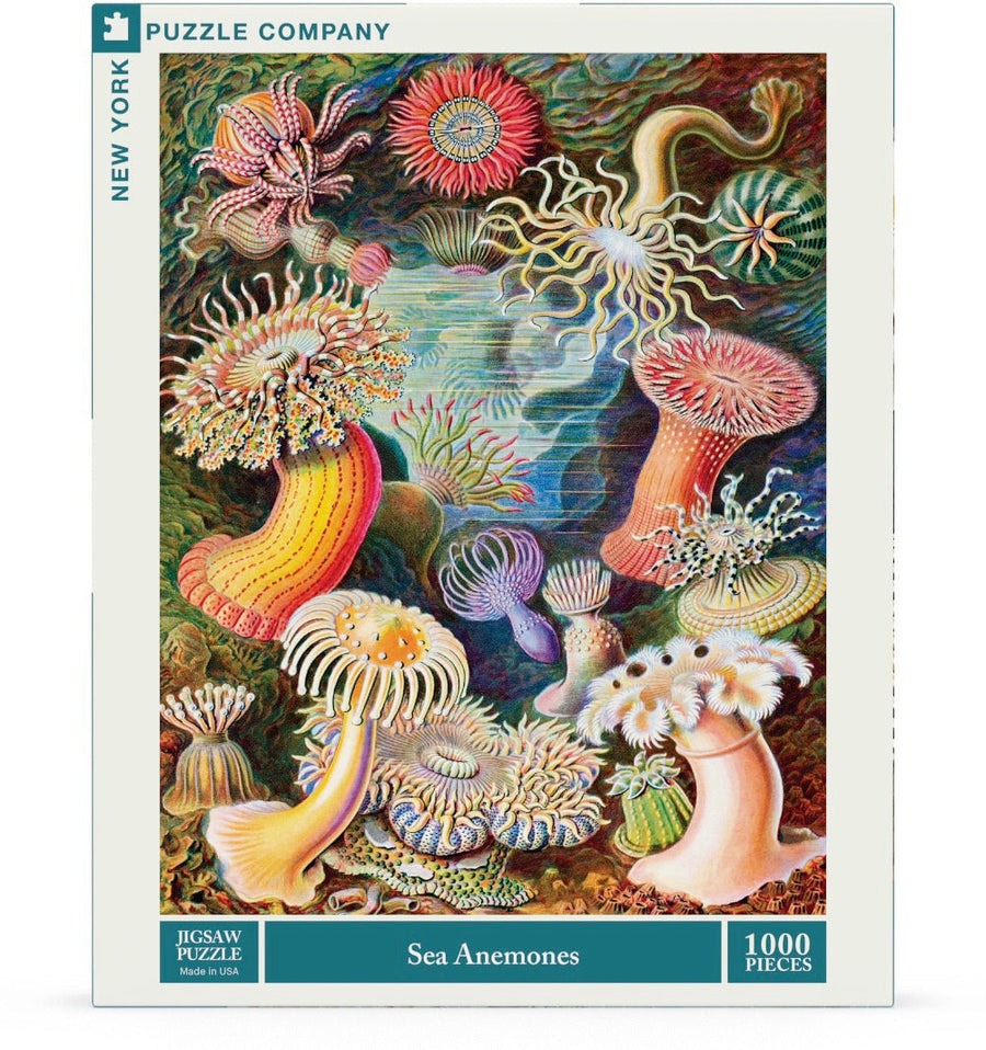 Packaging showing Sea Anemones puzzle artwork