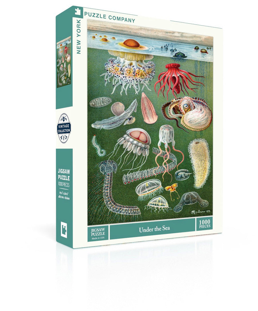 Under the Sea puzzle box and illustrated design
