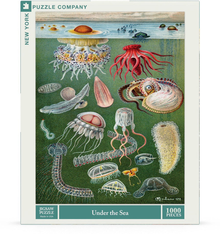 Packaging showing Under the Sea puzzle artwork