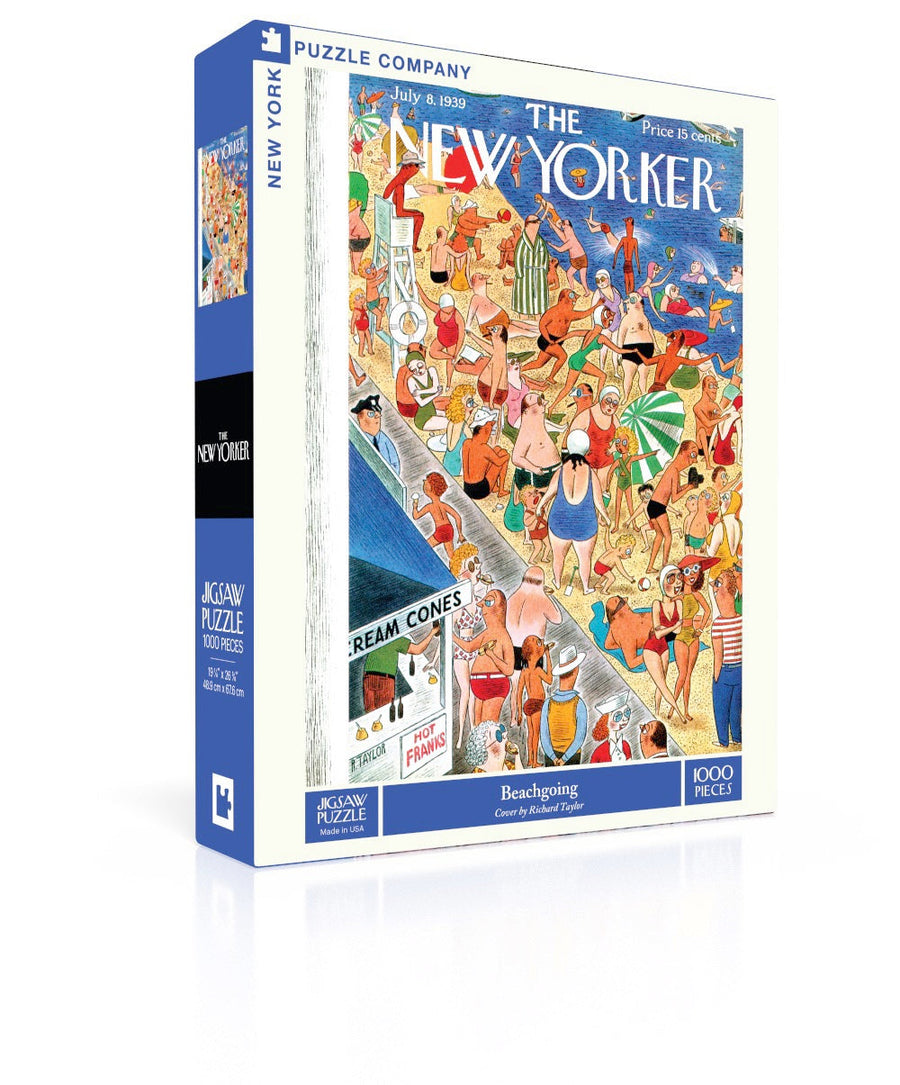 Beachgoing puzzle box and illustrated design