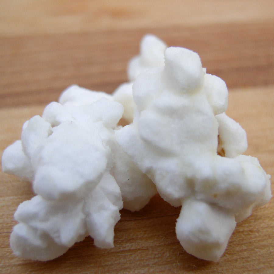 White Cheddar Popcorn — gourmet popcorn product image 2 of 3