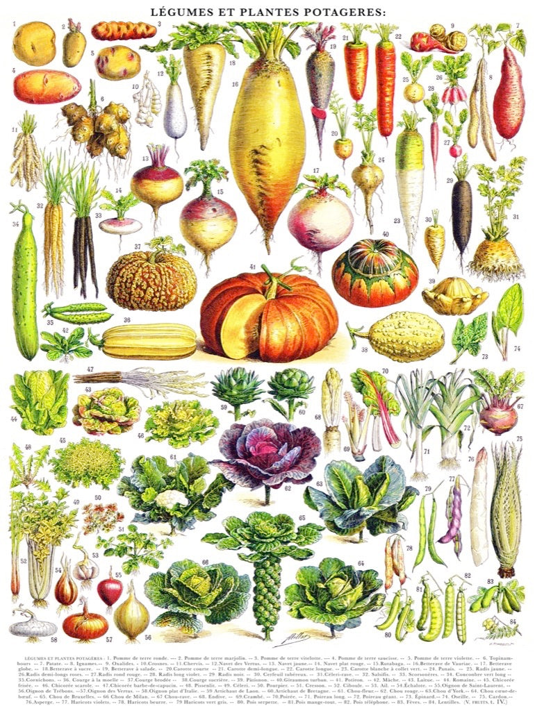 Illustrated Vegetables ~ Légumes puzzle design