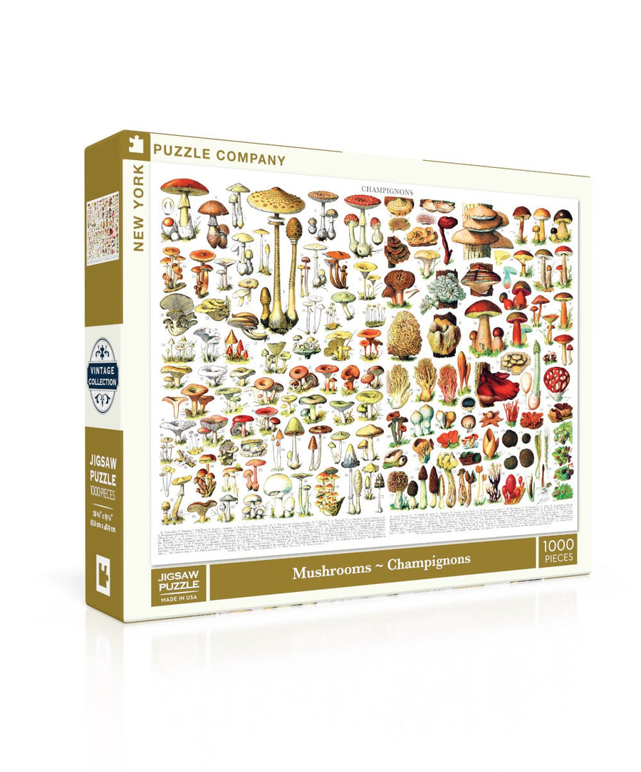 Mushrooms ~ Champignons puzzle box and illustrated design