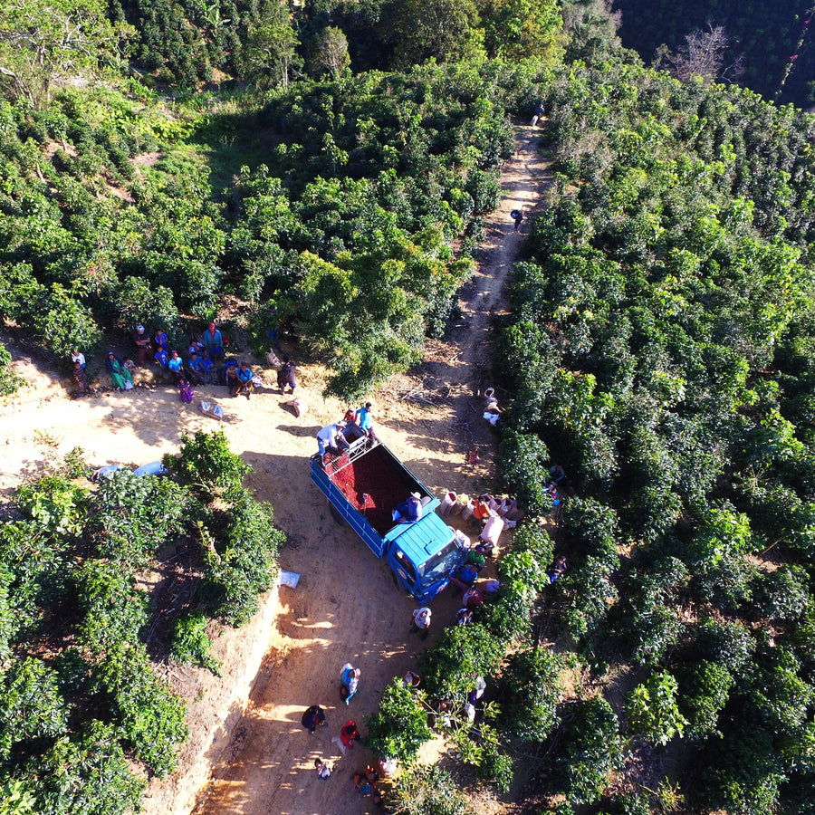 Aerial view of a coffee-growing property in the Costa Rica Tarrazu image gallery