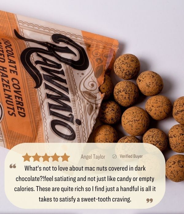 Product photograph for Chocolate Covered Sprouted Hazelnuts