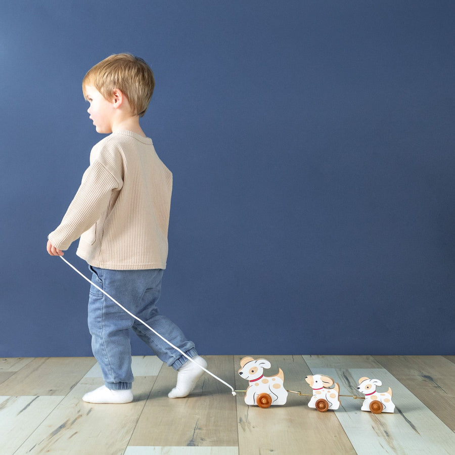 Child pulling a linked wooden animal toy across the floor