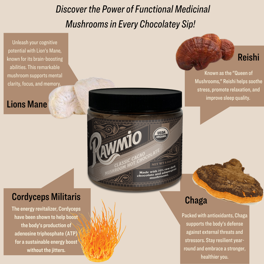 Product photograph for Classic Cacao Mushroom Hot Chocolate