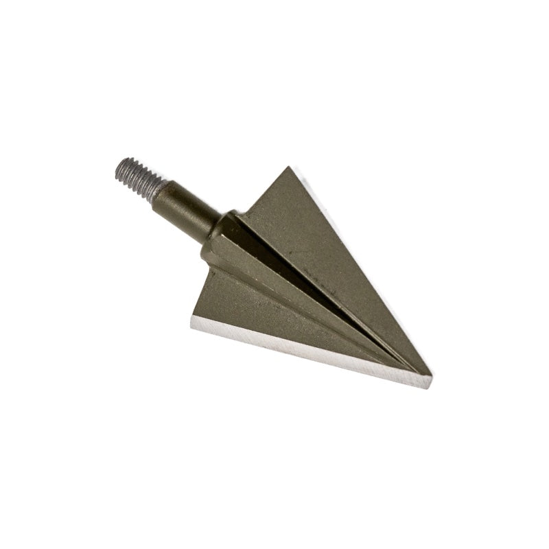 Single-bevel head showing the tip and supported ferrule