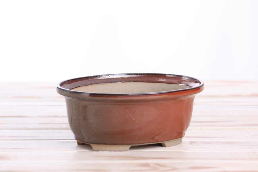 6.5-Inch Fat Oval Bonsai Pot - Sunset
