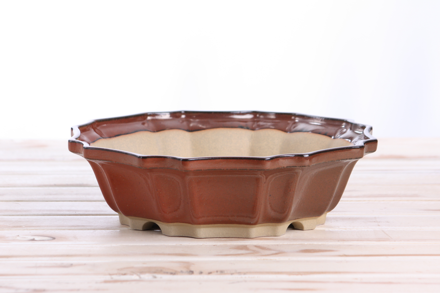 10-Inch Flower Bonsai Pot - Sunset