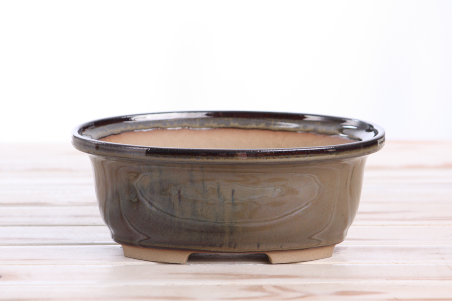 7.5-Inch Fat Oval Bonsai Pot - Dark Honey