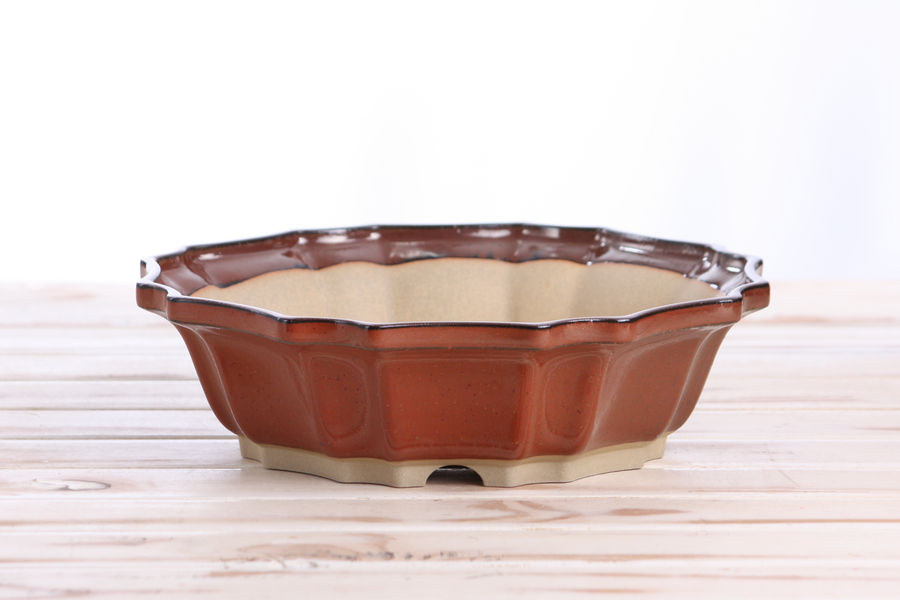 10-Inch Flower Bonsai Pot - Sunset