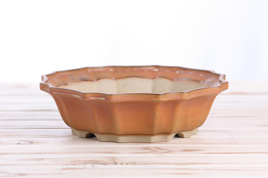 10-Inch Flower Bonsai Pot - Deep Stone