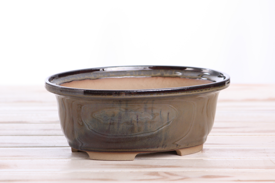 7.5-Inch Fat Oval Bonsai Pot - Dark Honey