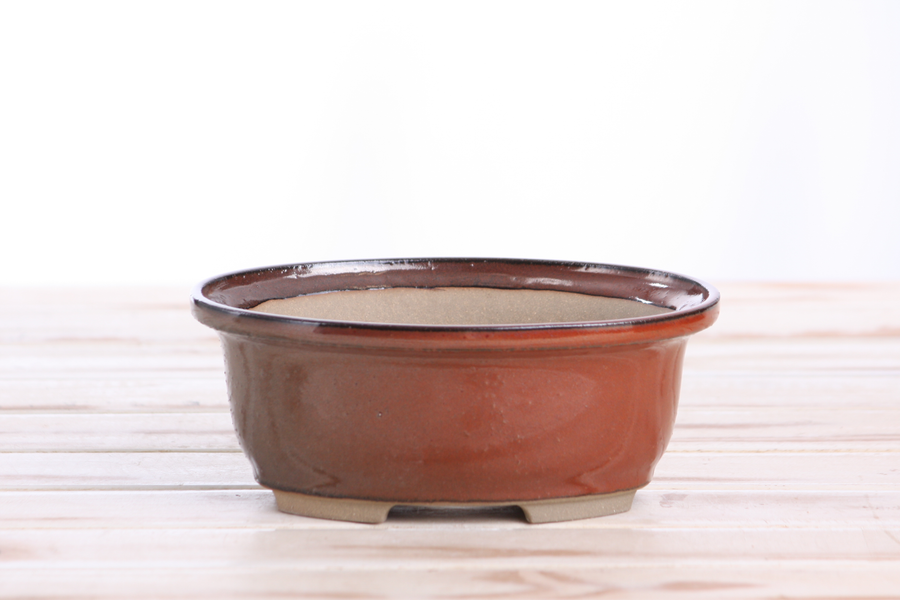 6.5-Inch Fat Oval Bonsai Pot - Sunset