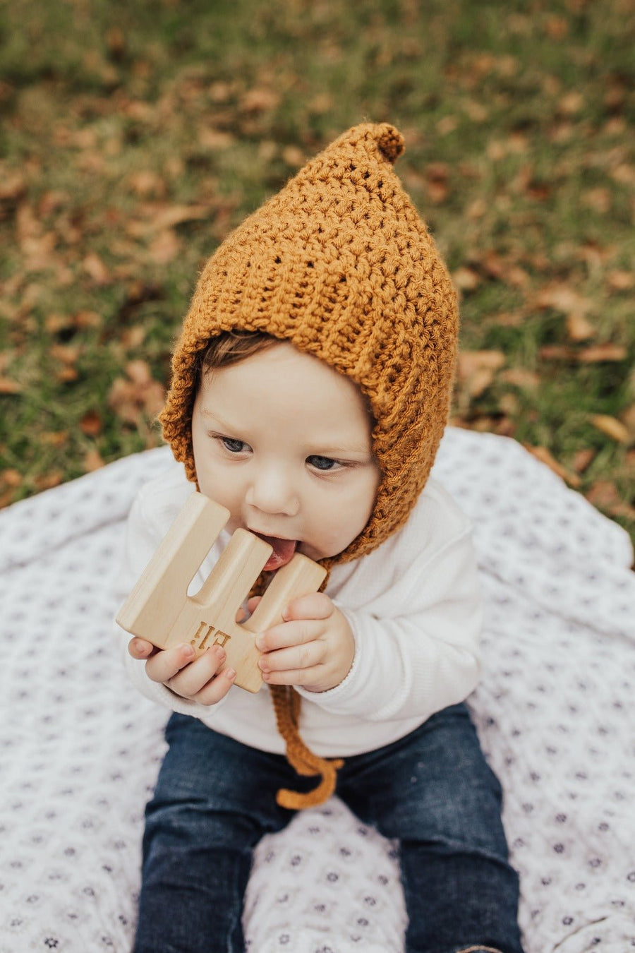 Wooden Letter Grasping Toy: letter examples