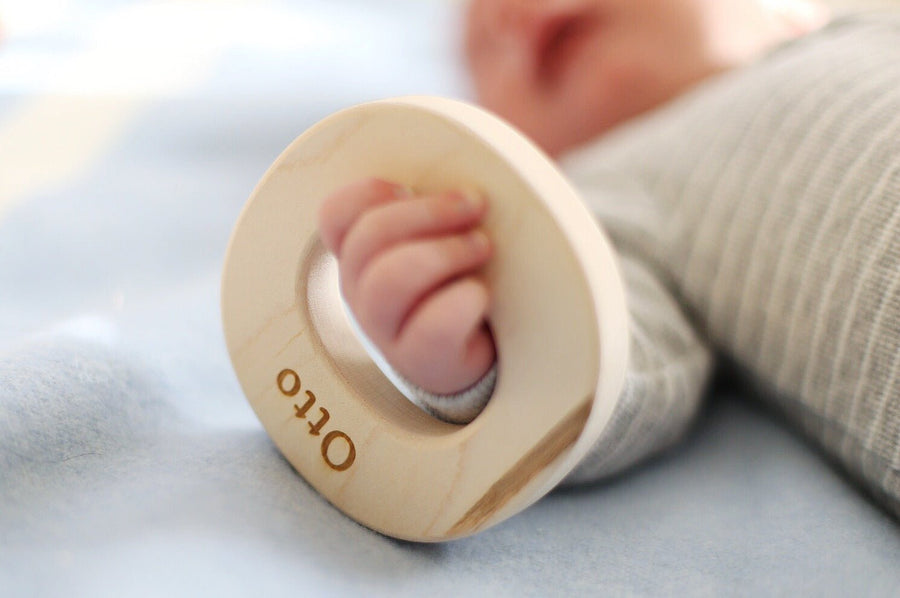 Wooden Letter Grasping Toy: letter examples