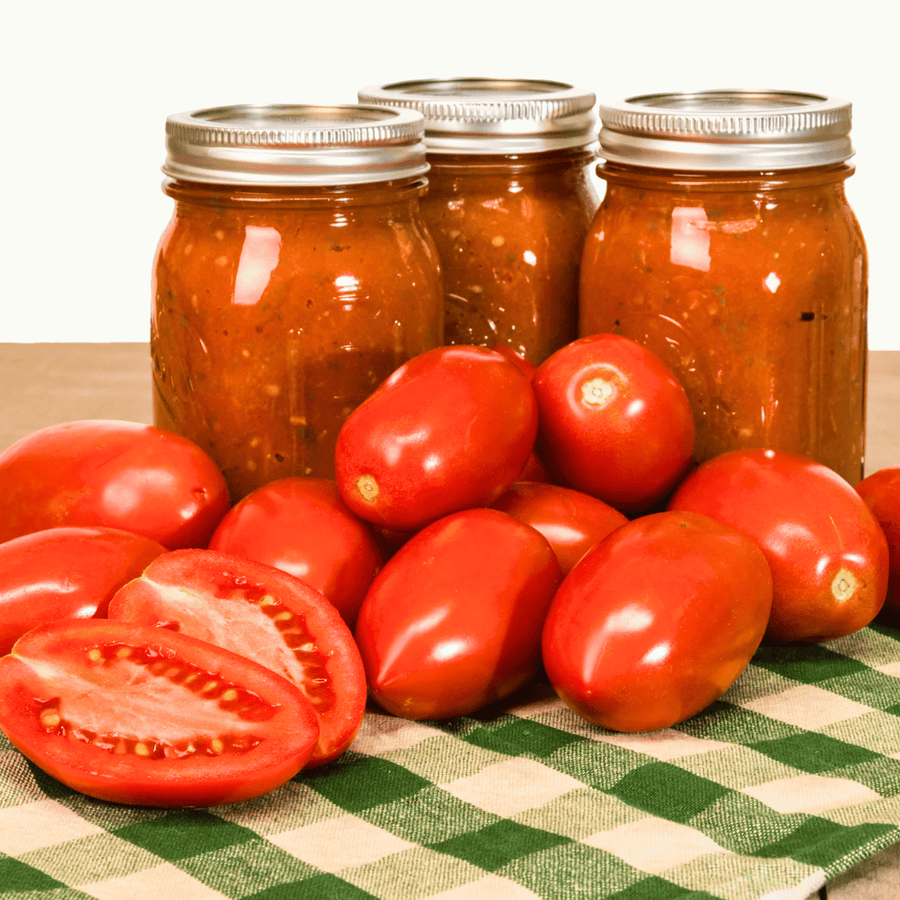 Amish Paste Tomato