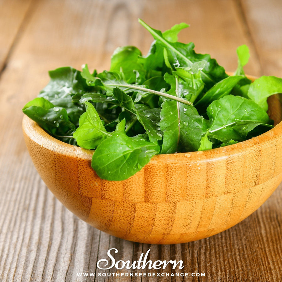 Roquette Arugula – 200 Seeds