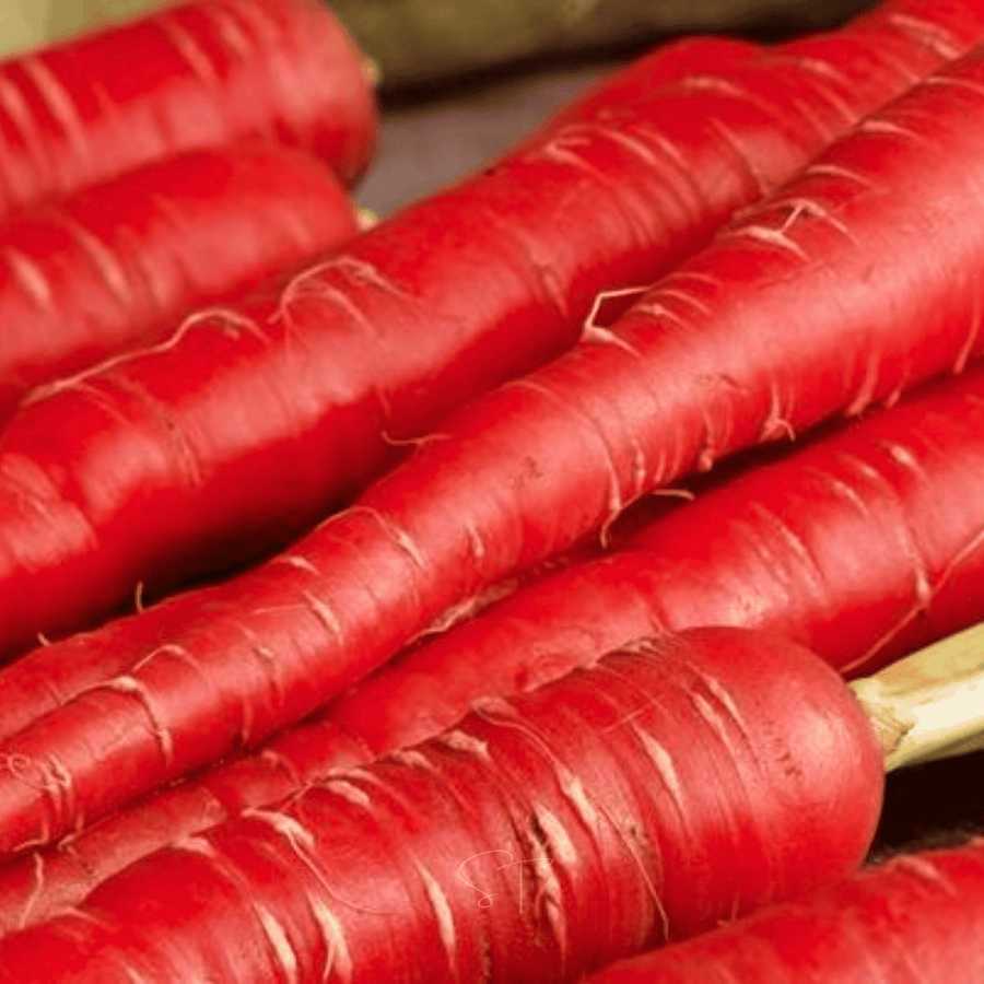 Atomic Red Carrot