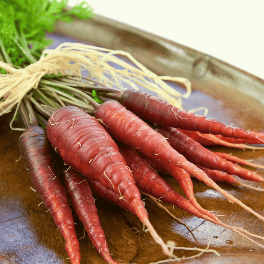 Atomic Red Carrot