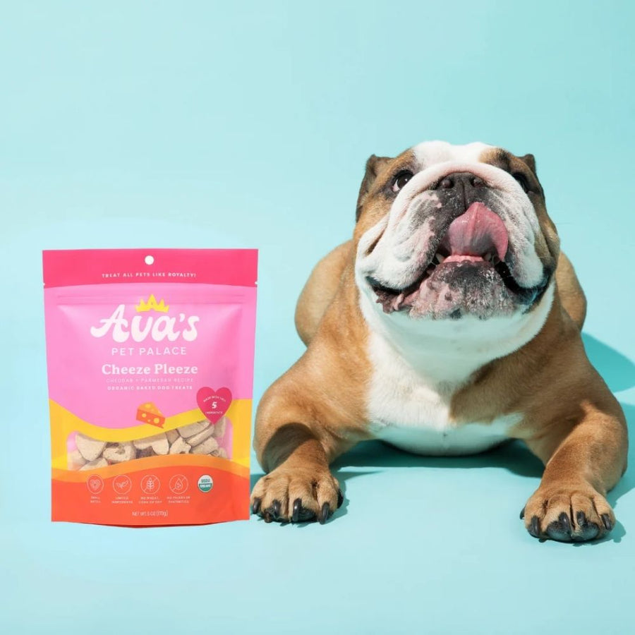 Bulldog beside a Cheeze Pleeze treat bag