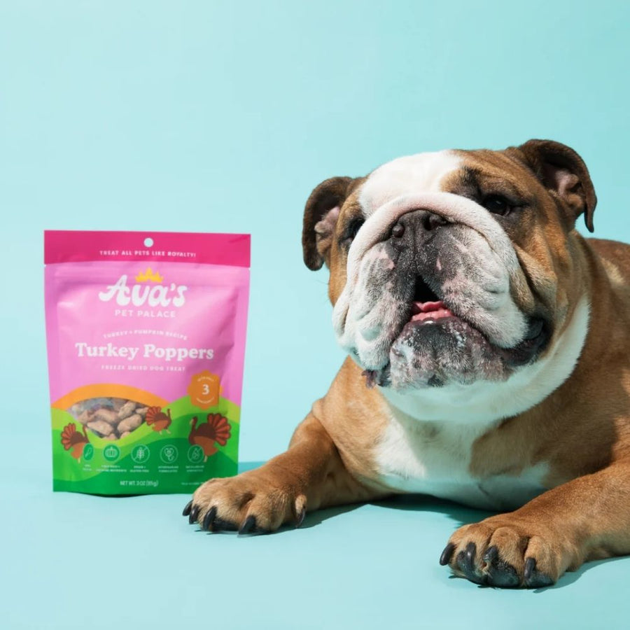 Bulldog beside a Turkey Poppers treat bag