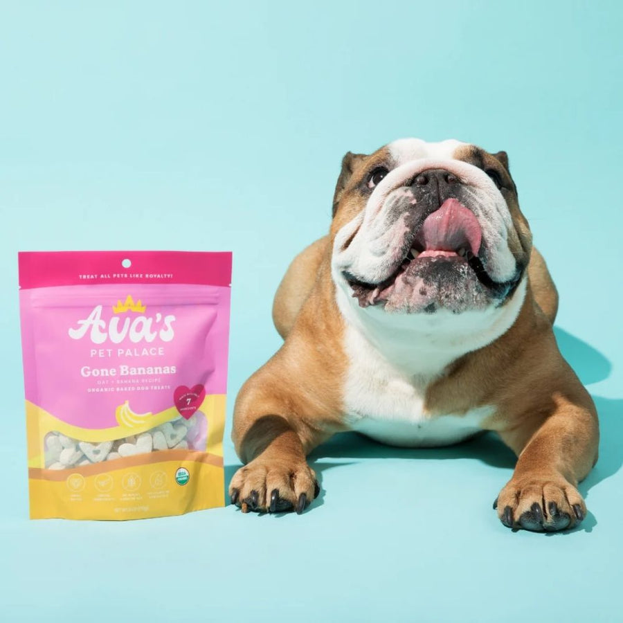 Bulldog beside a Gone Bananas dog treat bag