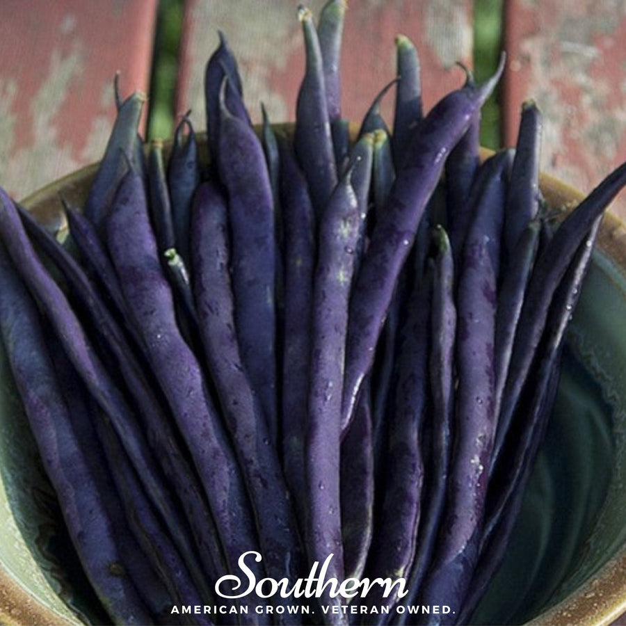 Blue Coco Bean (Pole)