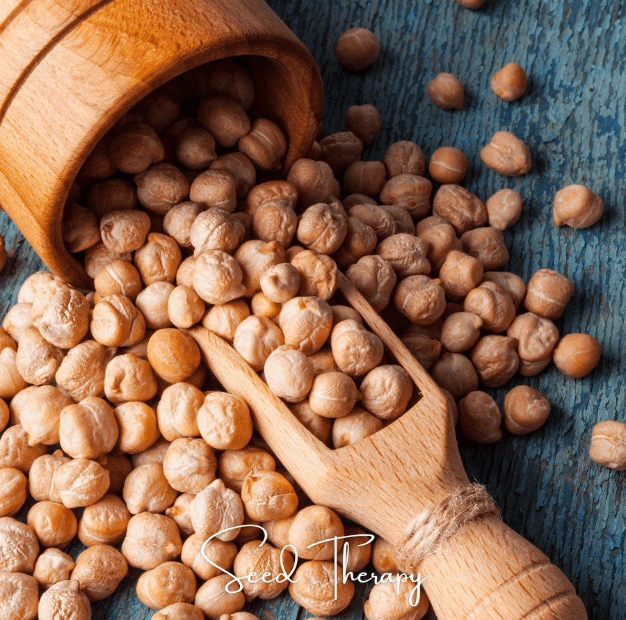 Garbanzo Bean – Chickpea – 20 Seeds