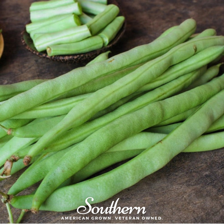 Kentucky Wonder Bean (Pole)