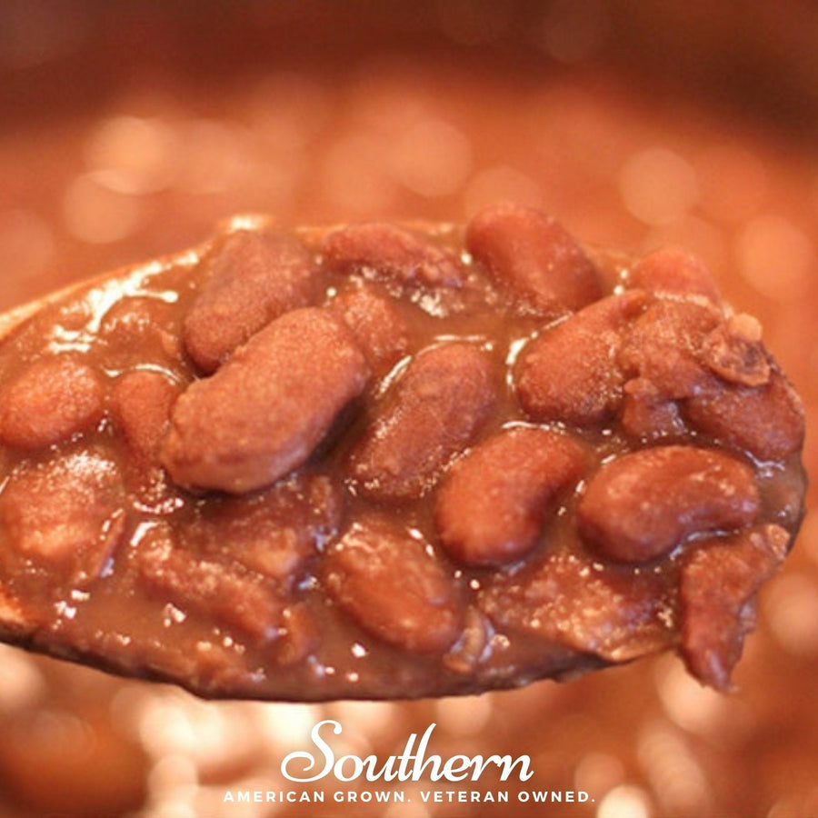 Tiger's Eye Bean (Bush)