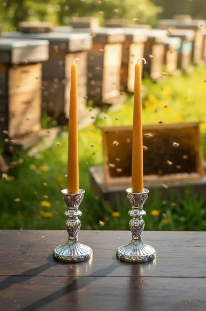 Pair of long golden beeswax taper candles in decorative holders, with beehives in the background