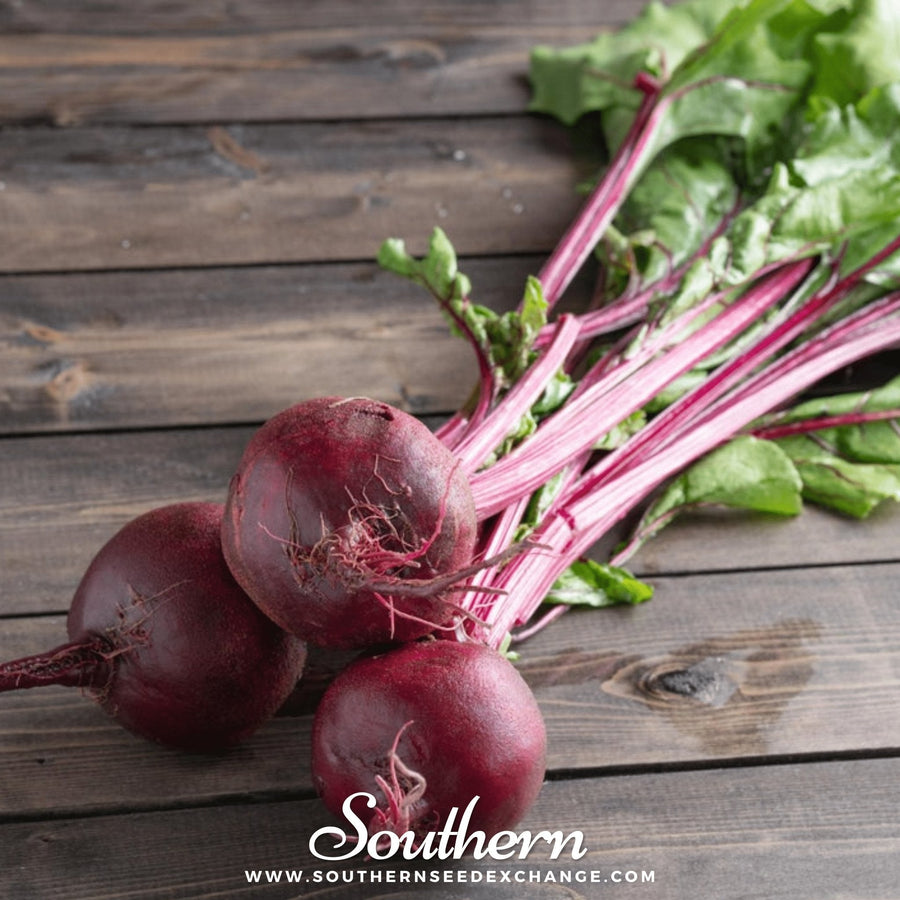 Crosby’s Egyptian Beet
