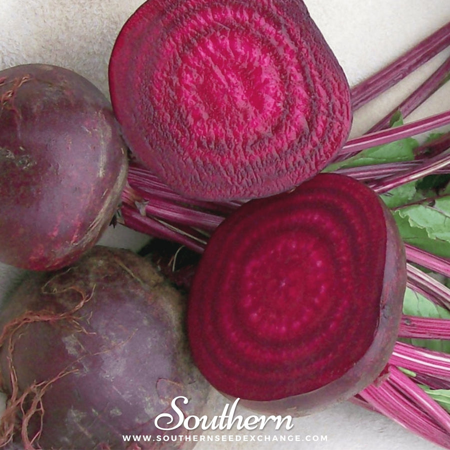 Crosby’s Egyptian Beet