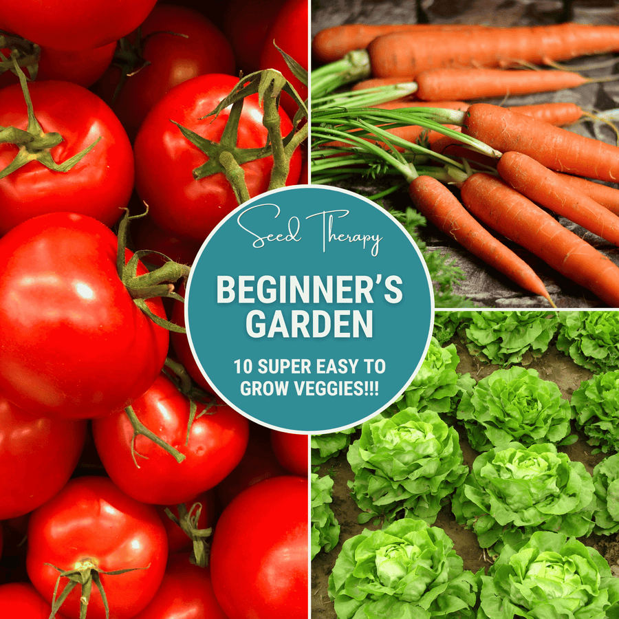 Beginner Vegetable Seed Collection – 10 Varieties