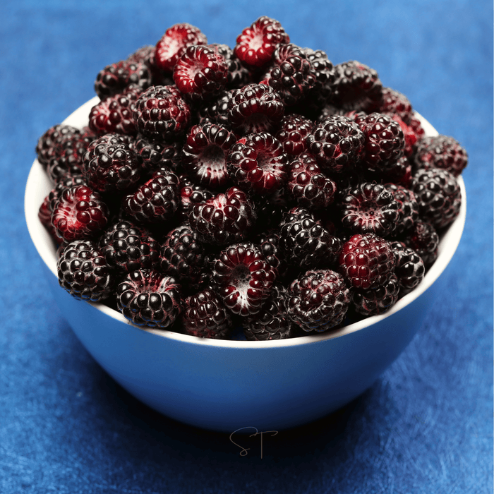 Black Raspberry – 30 Seeds